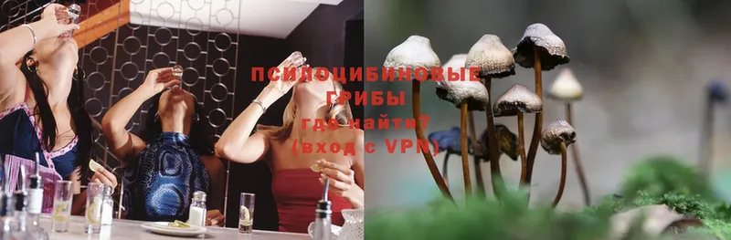 Галлюциногенные грибы Magic Shrooms Богородицк